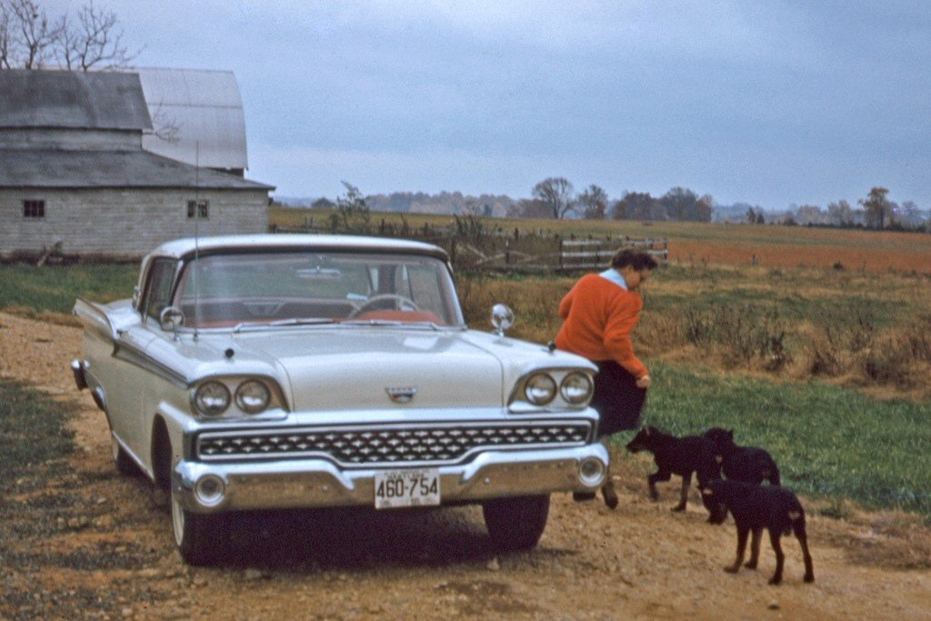 Farm Hounds