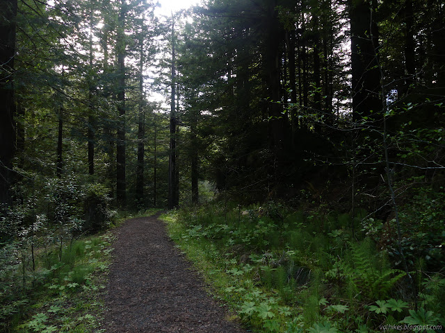 wide gravel trail