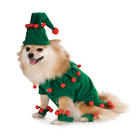 Dog Elf Costume