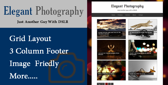 photography-blogger-template