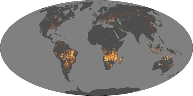 Kebakaran hutan di seluruh dunia