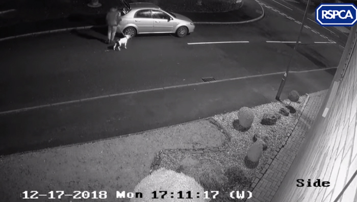 Heartbreaking Footage Shows Dog Trying To Get Back In The Car Without Realizing He Is Being Abandoned