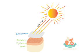 Cara Memilih Sunscreen Sesuai Jenis Kulit