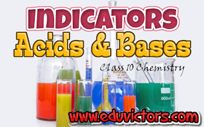 CBSE Class 10 - Chemistry - Acids and Bases - Indicators (#class10ChemistryNotes)(#eduvictors)(#cbsenotes)