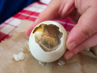 What is the taste of balut