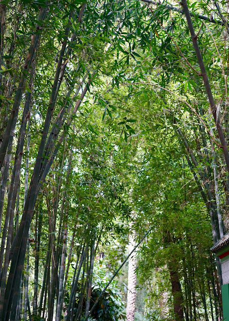 YVES SAINT LAURENT JARDIN MAJORELLE, MARRAKECH MOROCCO