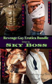 gay erotica bundle