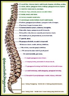 Ke arah merealisasikan Perubatan Jawi/Perawatan Islam 