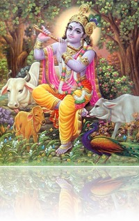 [Krishna with cows]