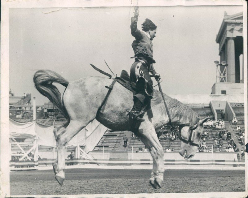 Bronco Rider