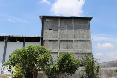 Kumpulan Gambar Rumah Walet