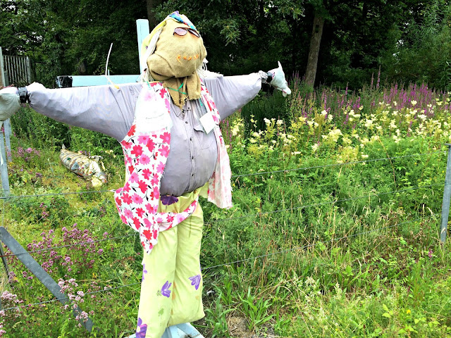 scarecrow in garden at national wildlife centre