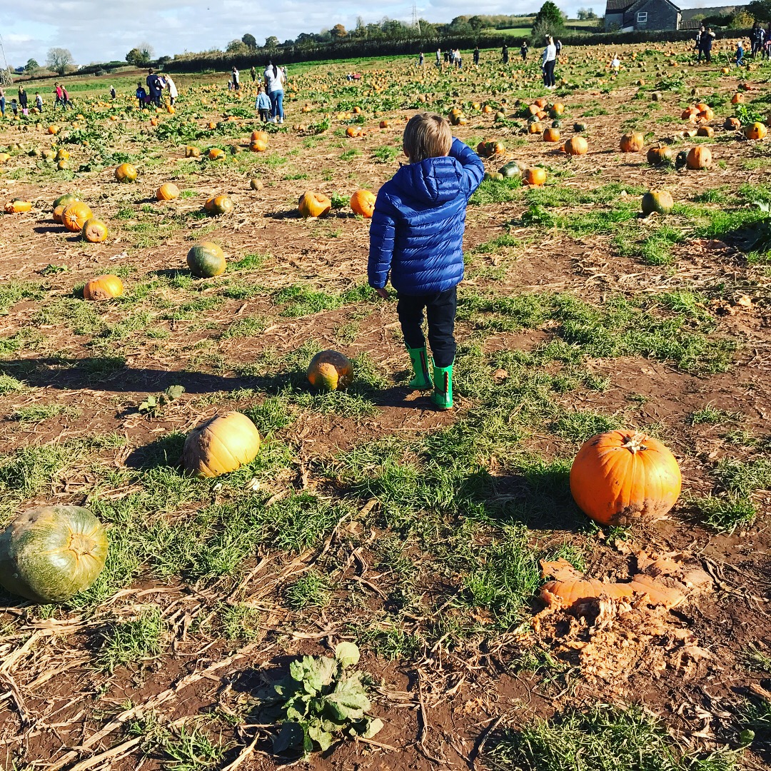 Pumpkin picking, farrington farm pumpkin festival, autumn, family days out wiltshire, kids day out, quick midweek meals, quick halloween meal ideas