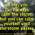 In life, you can't always calm the storm, but you can calm yourself until the storm passes.