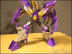 Fall Of Cybertron kickback