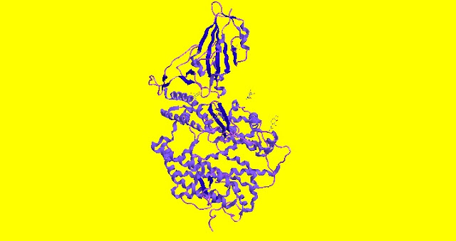 Fig. I.1: SARS-CoV-2 spike receptor-binding domain bound with ACE2 (6M0J)