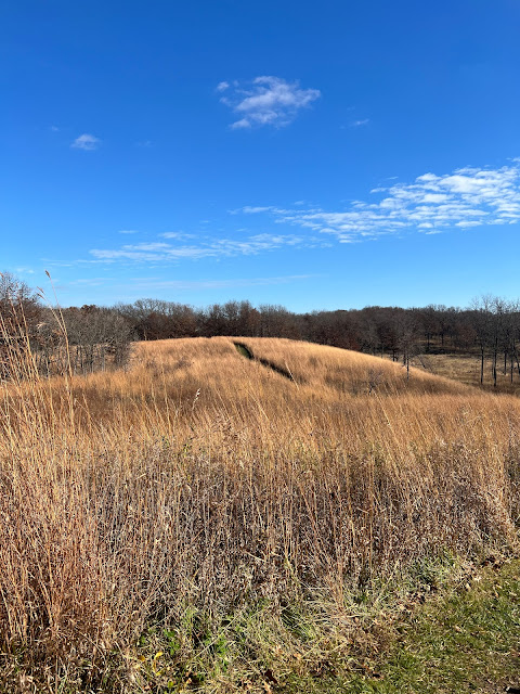 Golden and rust-colored grasses populated the late fall prairie.