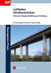 Leitfaden Straßenbrücken: Entwurf, Baudurchführung, Erhaltung (Bauingenieur-Praxis)