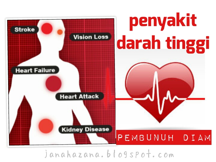 Manfaat resveratrol dalam vivix untuk kawal penyakit darah 