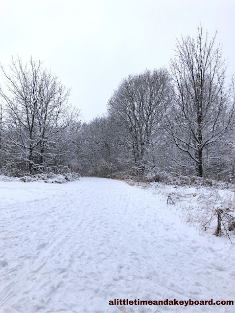 Happy feet created a path in the snow.