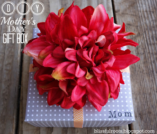 DIY Mother's Day Gift Box @ Blissful Roots