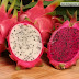 Khasiat Buah Naga (Dragon Fruit)