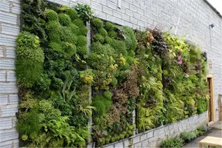 Tukang vertical garden sragen