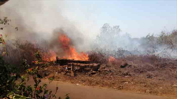 Huge fire broke out in Madaipara Thavarathadam, Kannur, News, Fire, Students, Kerala.