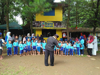 agro sawah taman wisata matahari