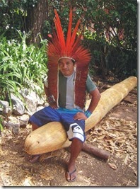metsa jiboia