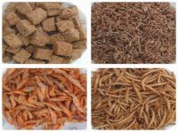 Freeze Dried Fish Food