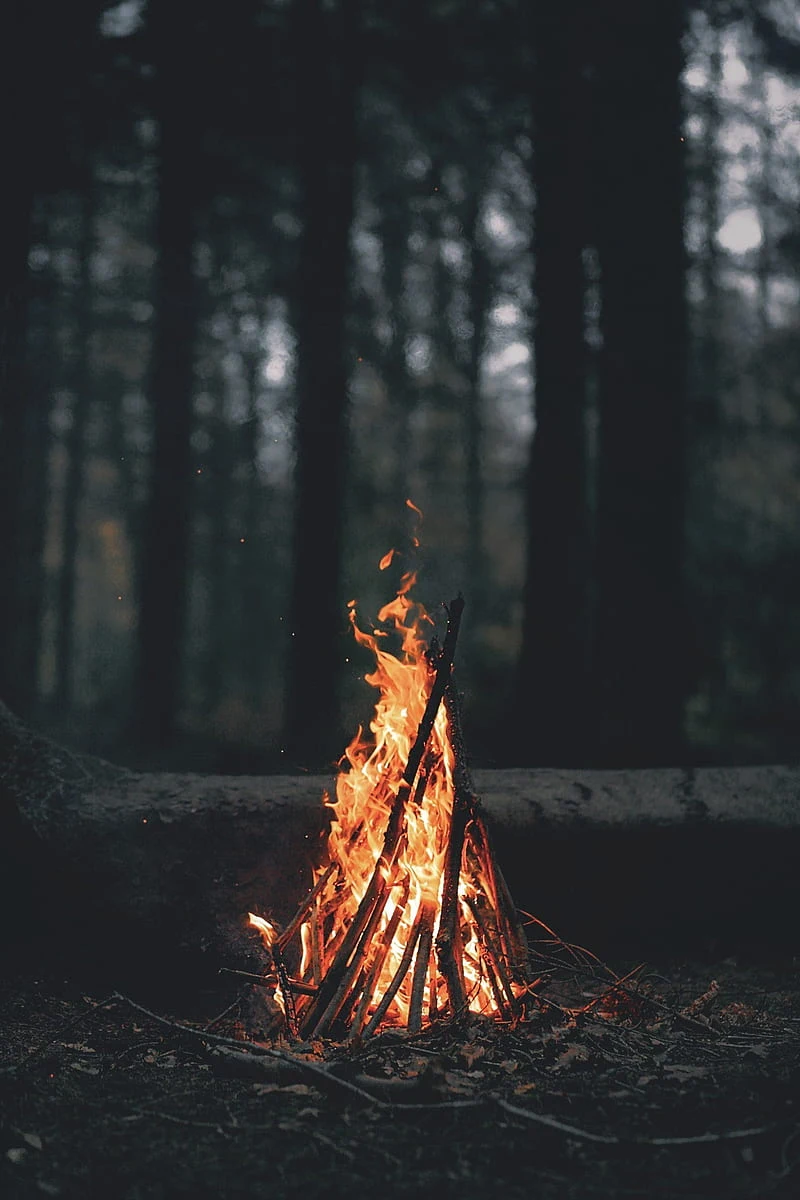 Wallpaper fire nature