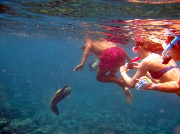 Snorkeling en las Islas Galápagos