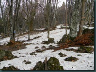 DSCN7934
