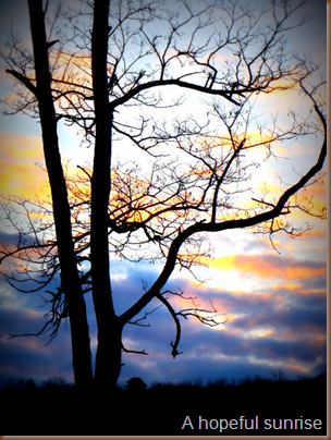 A new hope each morning