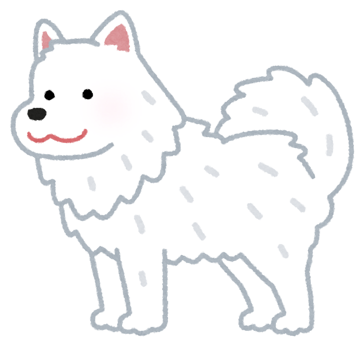 無料イラスト かわいいフリー素材集 サモエドのイラスト 犬