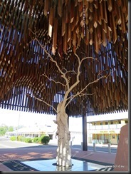 180510 113 Barcaldine Tree of Knowledge