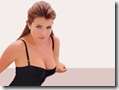 Yasmine Bleeth sexy wallpaper