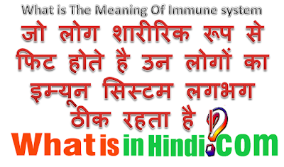 What is the meaning of Immune system in Hindi