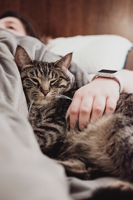 persona con gatto a fianco