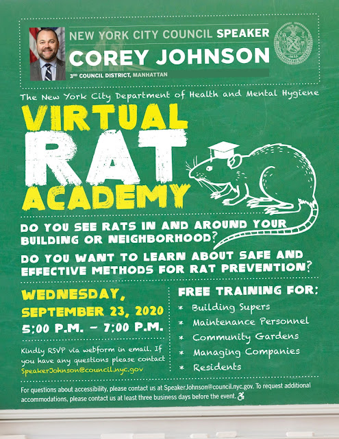 Rat Academy flyer