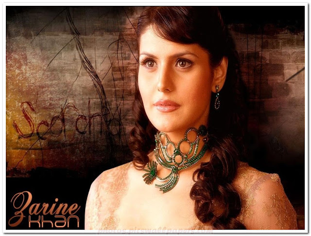 zarine khan hot photos & zarine khan hot pictures