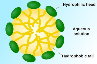 surfactants are organic compounds that contain both hydrophobic and hydrophilic groups.