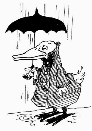 DUCKRAIN-2015-03-13-10-05.jpg