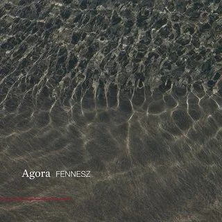 Portada de album Agora por FENNESZ