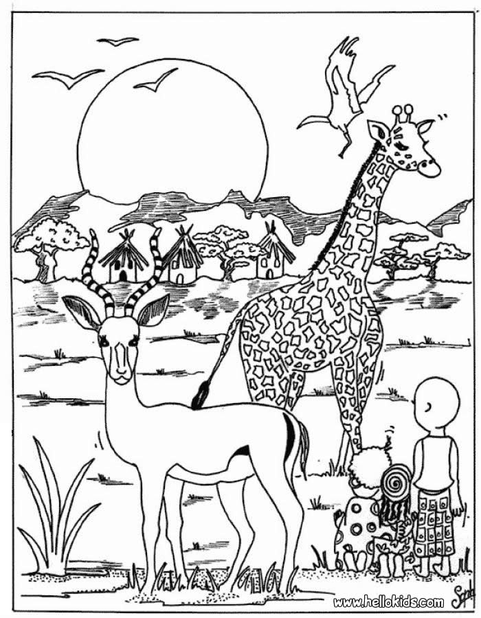 Download Printable Forest Animal Coloring Pages ~ Best Coloring ...