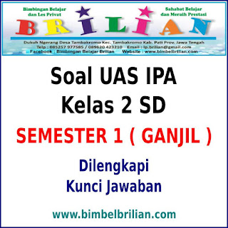  Kelinci awalnya bertubuh kecil lalu menjadi besar Soal UAS IPA Kelas 2 SD Semester 1 (Ganjil) dan Kunci Jawaban 