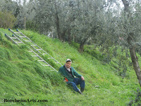 Natalino sits near wooden ladders in Casignano during Olive Harvest, Tuscany, Italy 