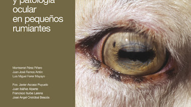 Exploracion y Patología Ocular en Pequeños Rumiantes 
