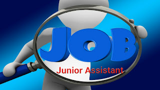 Junior Assistant